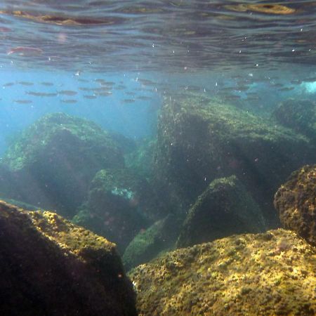 Appartamenti La Quiete Mele Εξωτερικό φωτογραφία